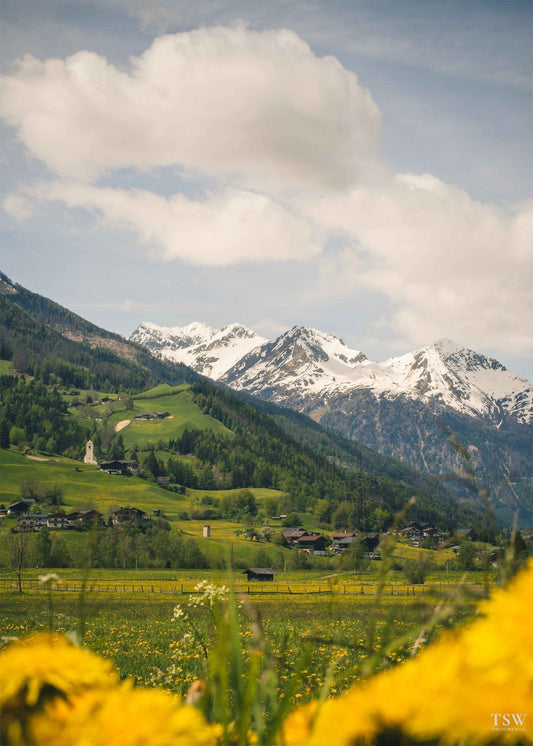 Spring in the Bavarian Alps - The Story Wall -