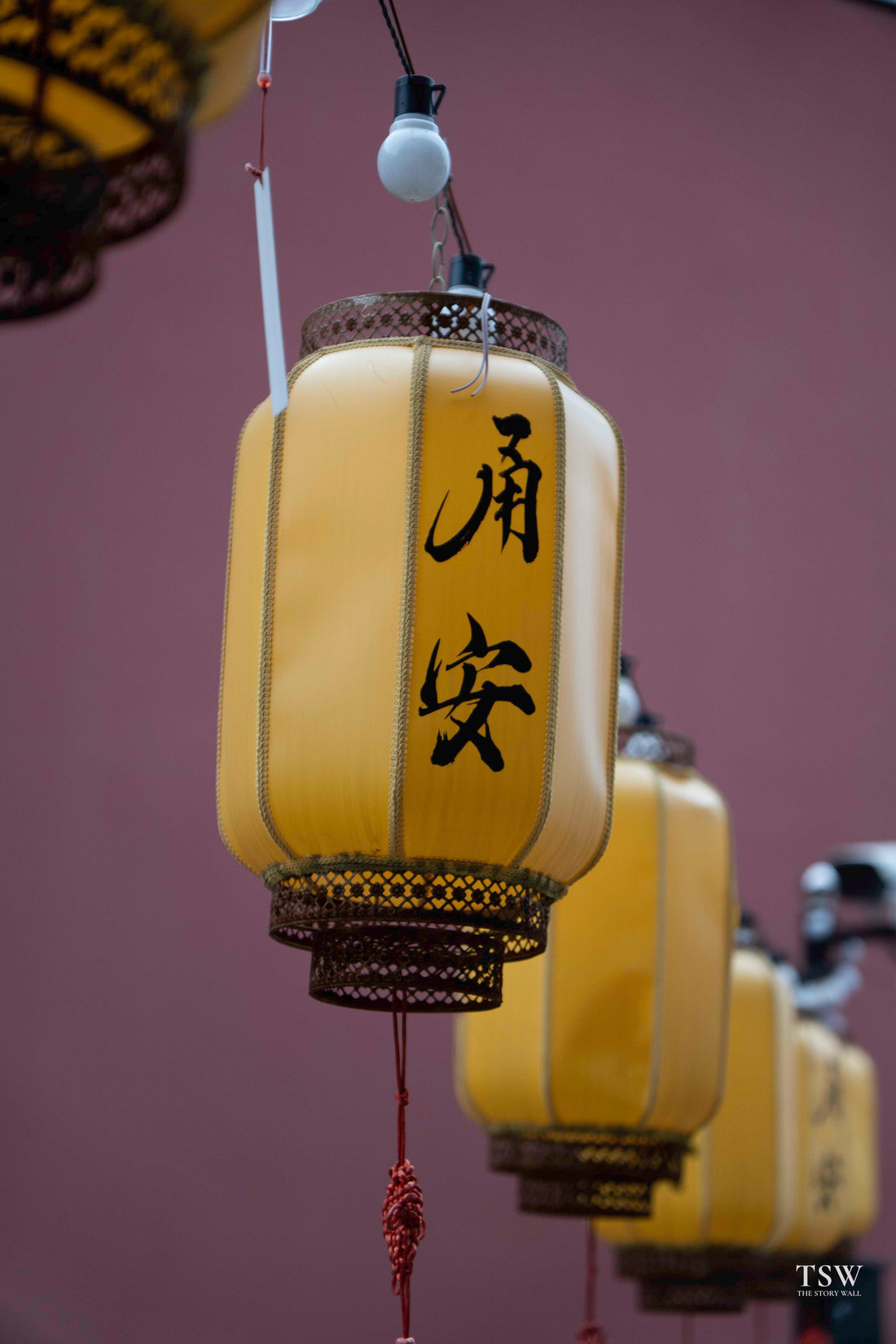 Gift a Story — Perfect for Christmas