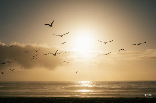 Why Travel Photography Makes the Perfect Wall Art for Your Home - The Story Wall