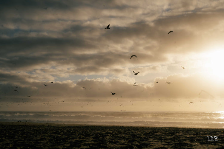 Calm & Minimal - The Story Wall