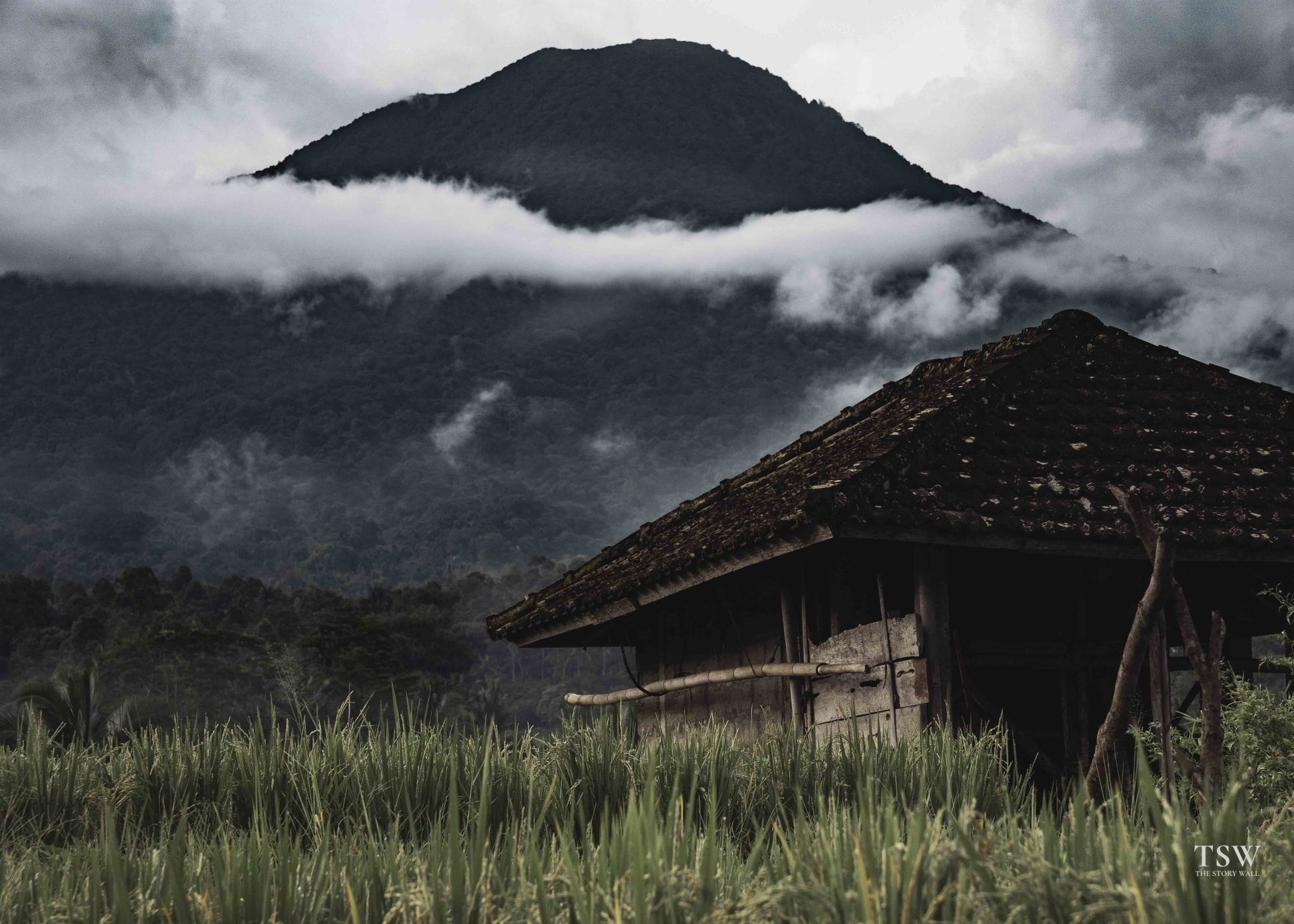 Bali Mountain Mist - The Story Wall - 