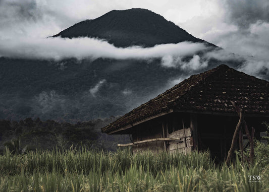 Bali Mountain Mist - The Story Wall - 