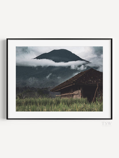 Bali Mountain Mist - The Story Wall - 