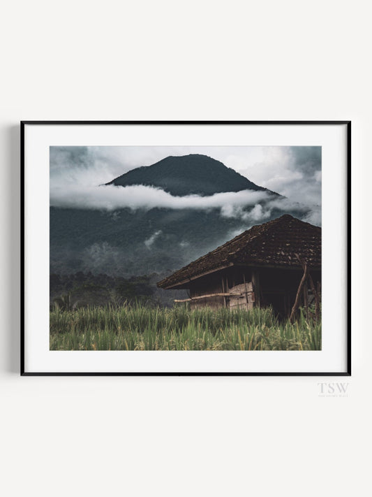 Bali Mountain Mist - The Story Wall - 