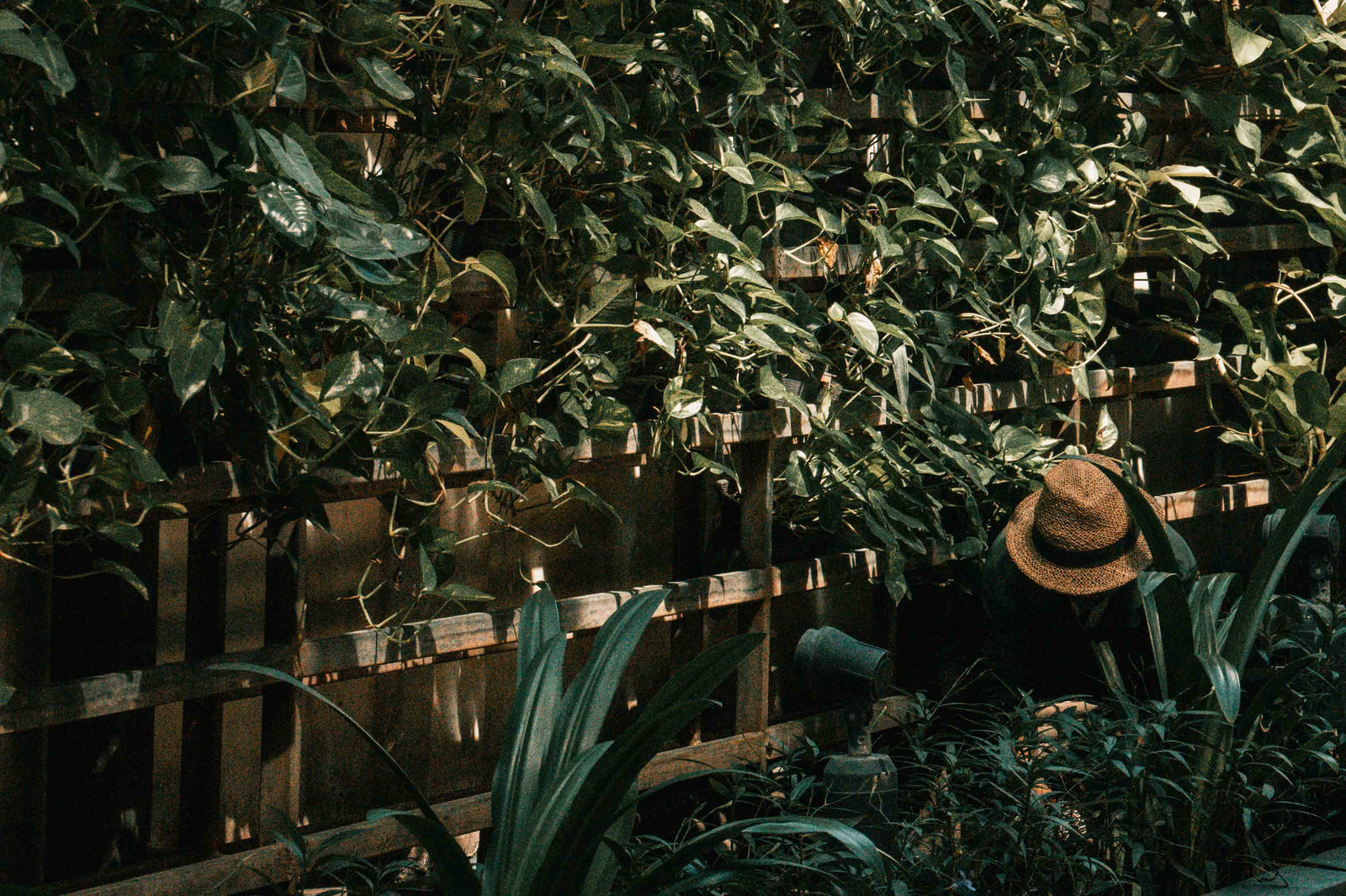 bangkok-BW-window-Cleaners — 1