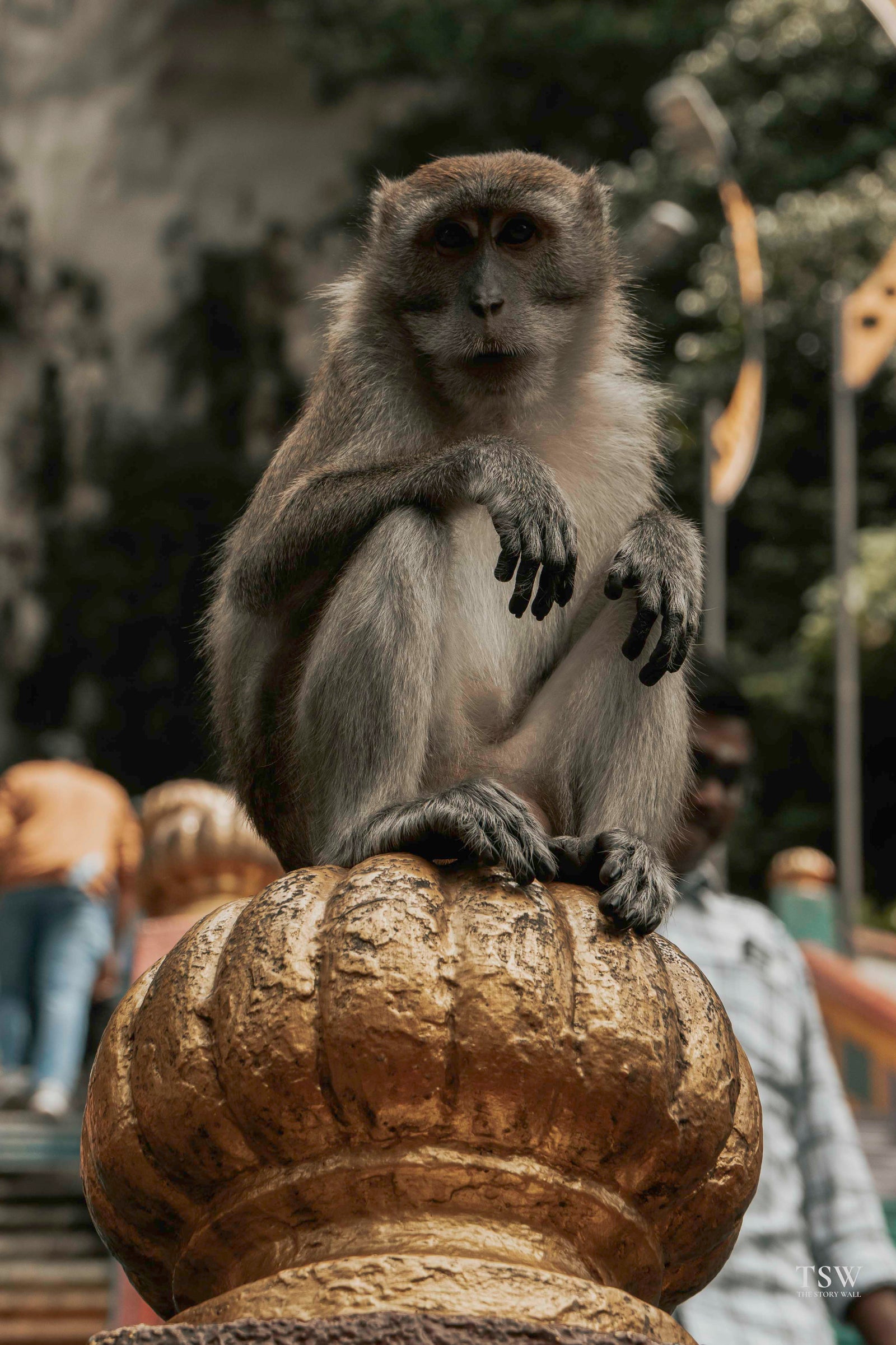 TSW021 - Batu Caves - FG — 4