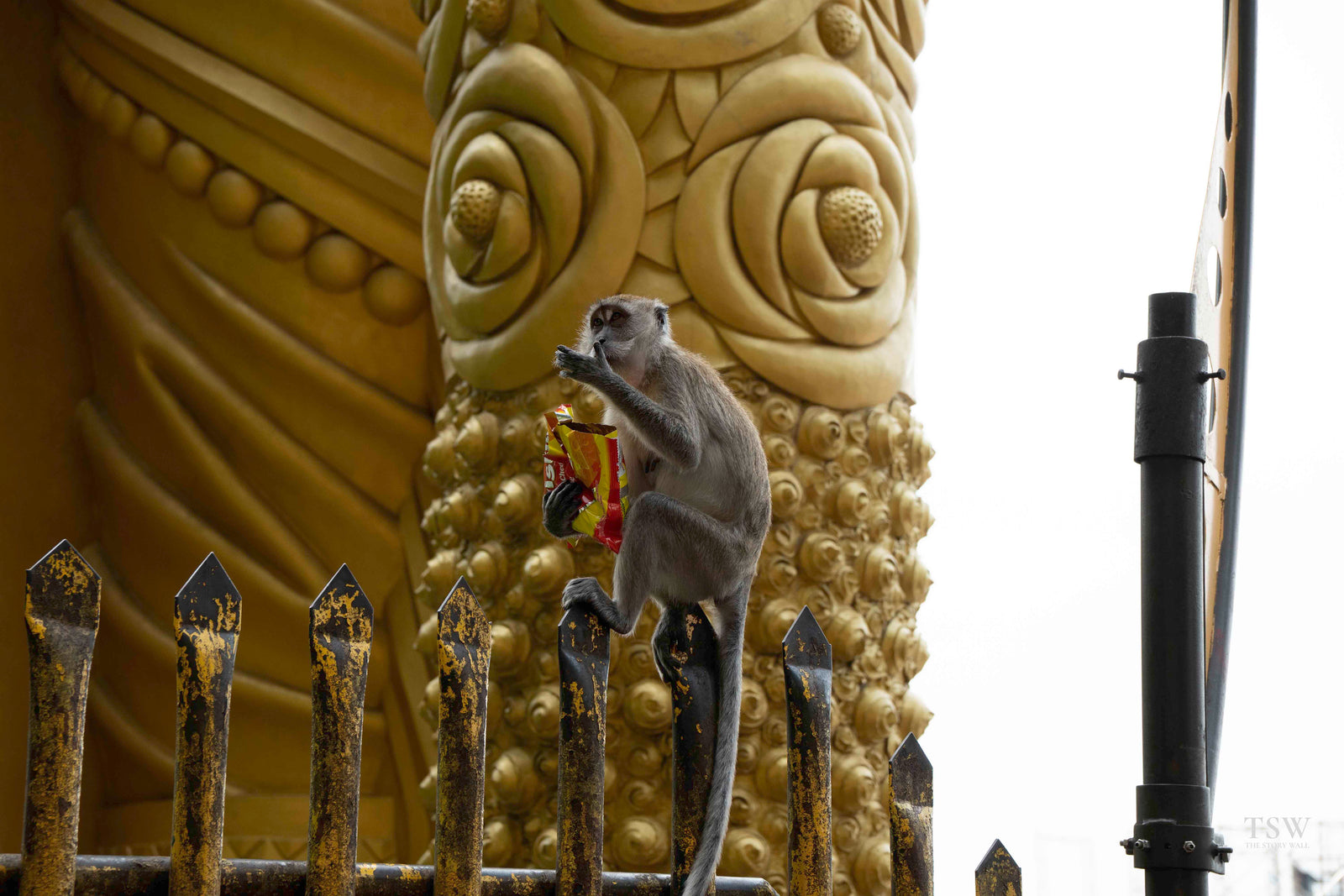 TSW021 - Batu Caves - FG — 5