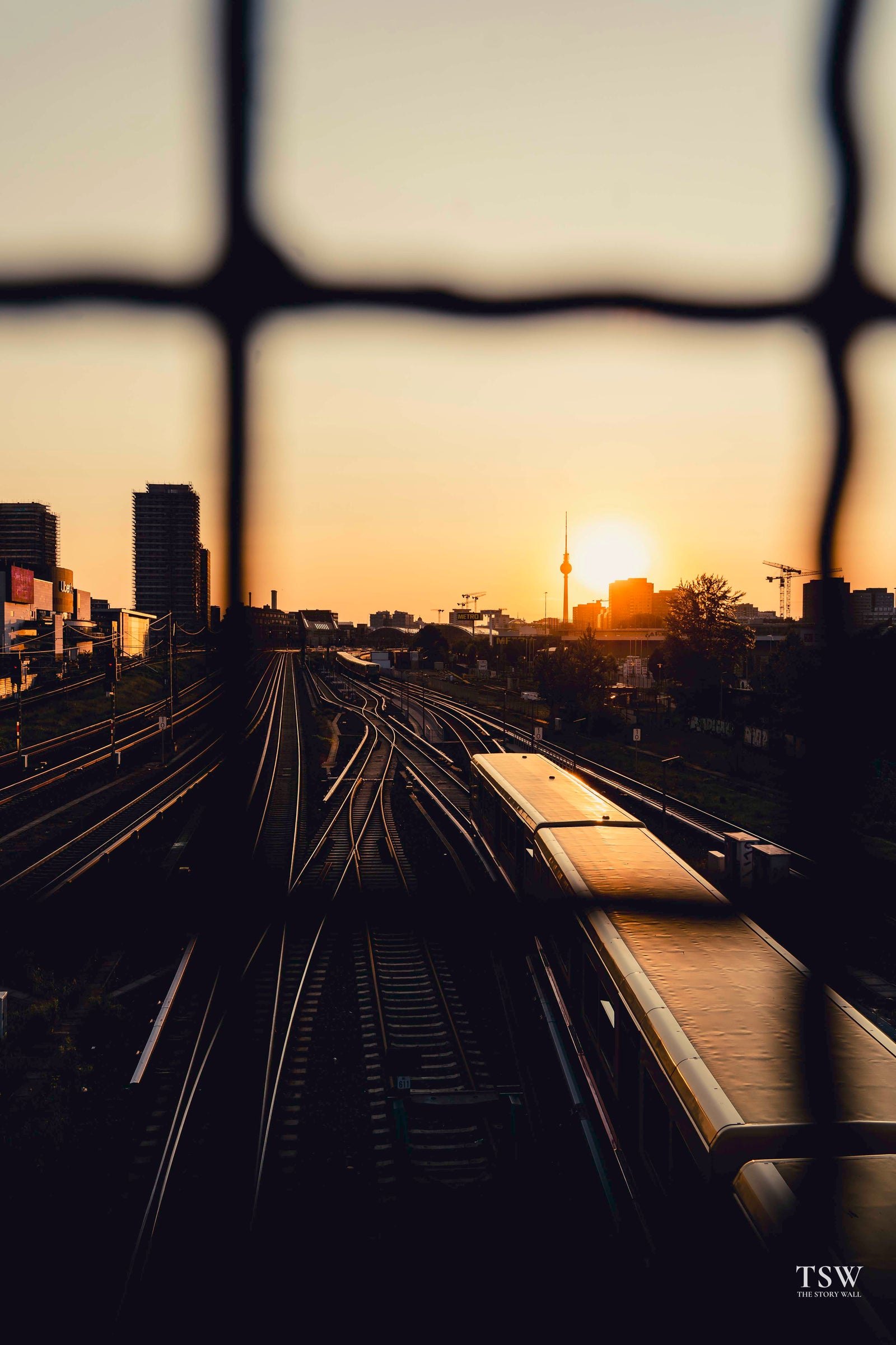 TSW003 - Berlin Golden — 2