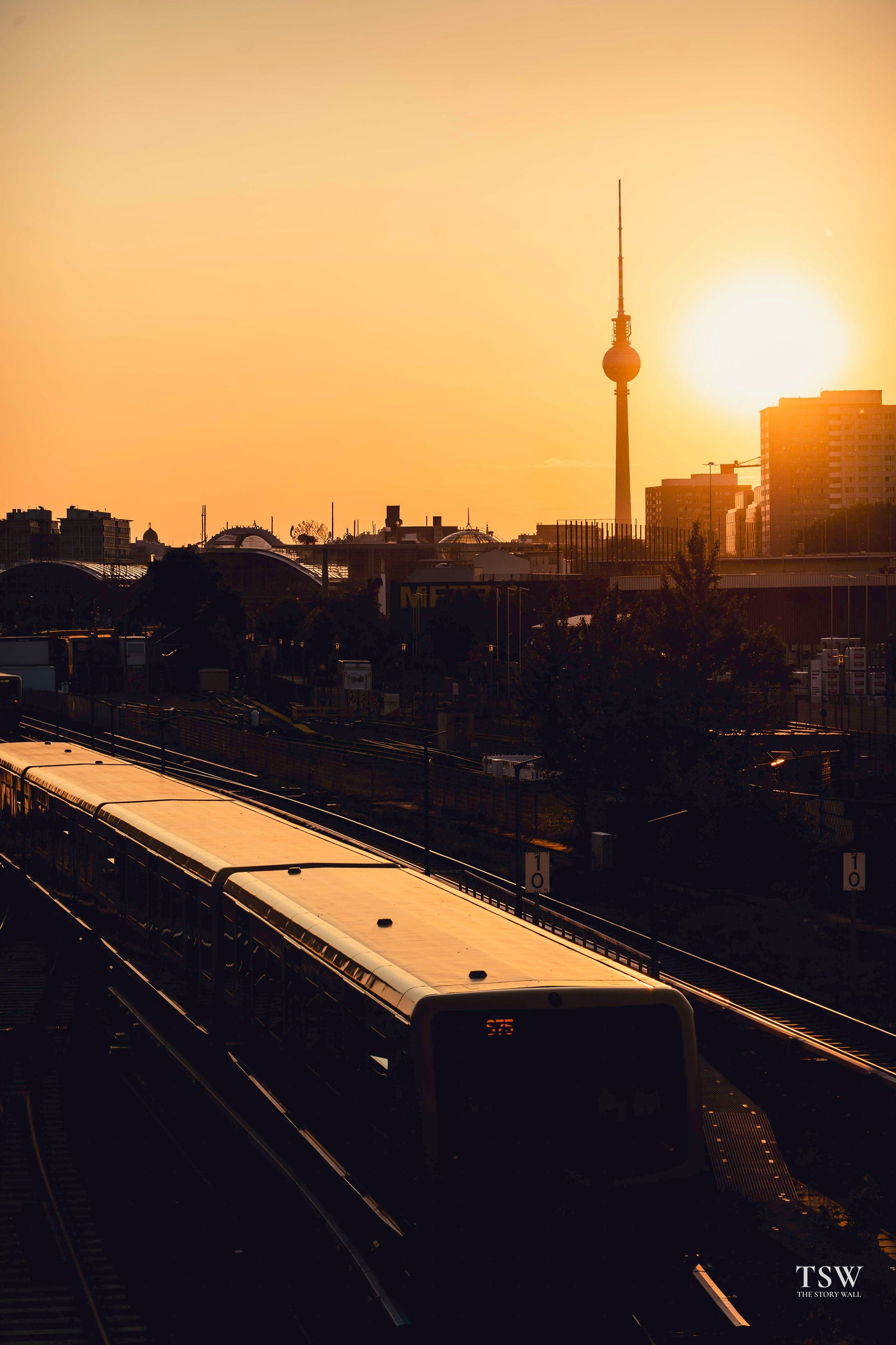 TSW003 - Berlin Golden — 3