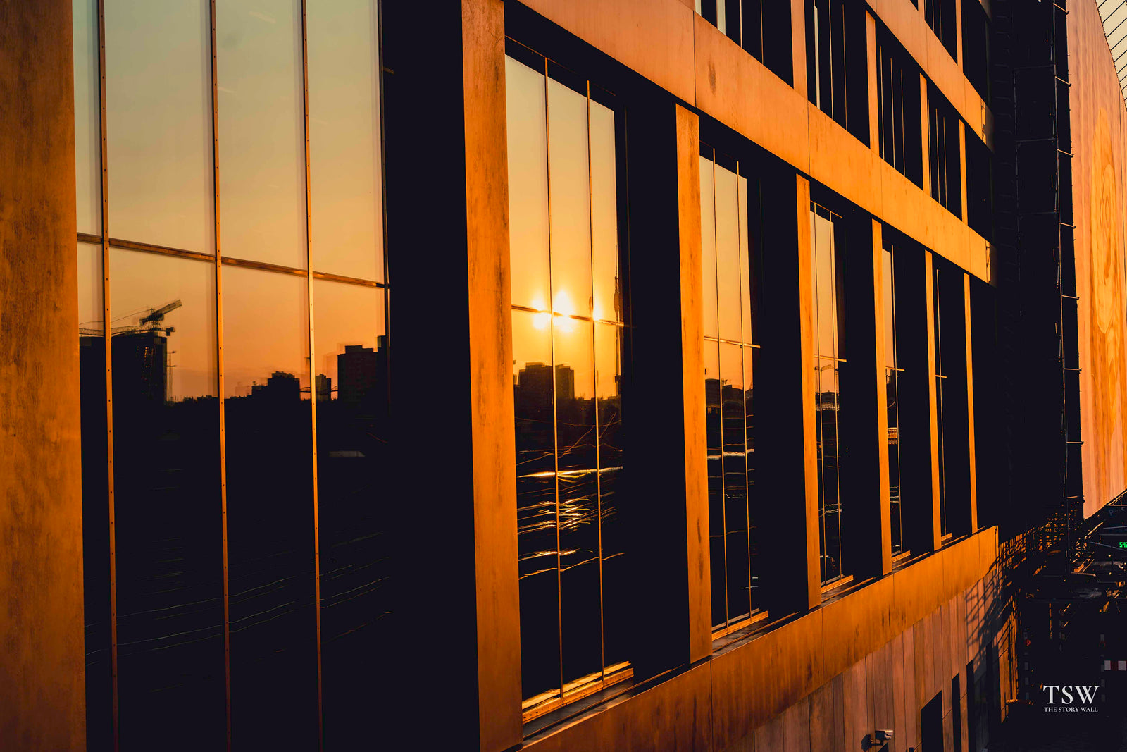 TSW003 - Berlin Golden — 6