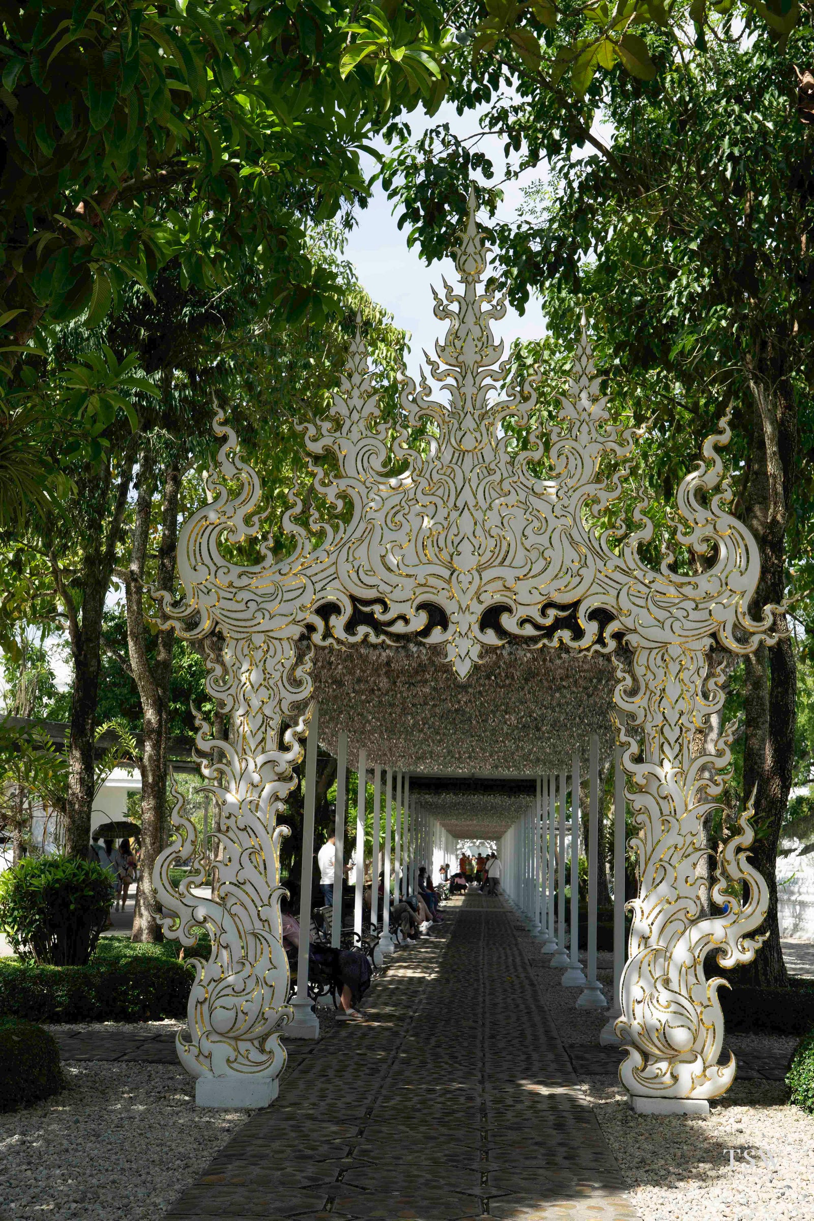 TSW020 - Chiang Rai - FG — 1