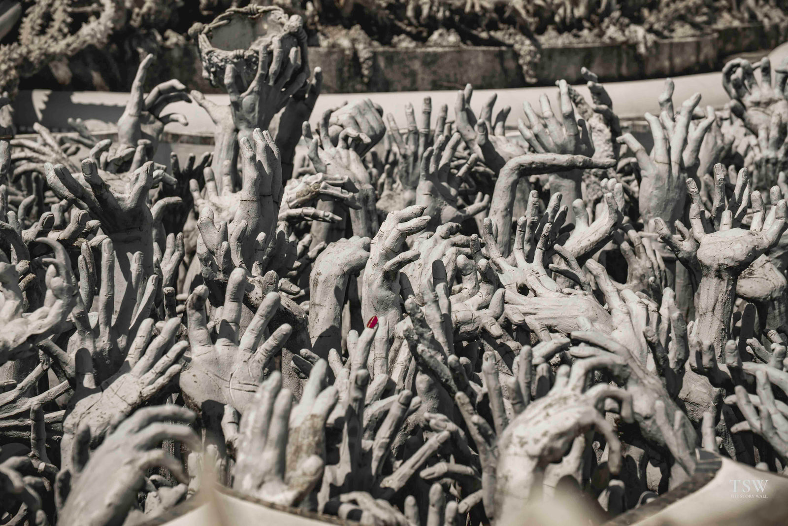 TSW020 - Chiang Rai - FG — 3