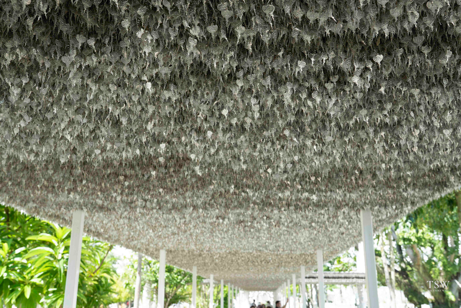 TSW020 - Chiang Rai - FG — 4