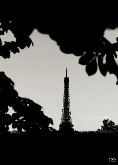 Eiffel Tower in Black & White, Paris - The Story Wall - 