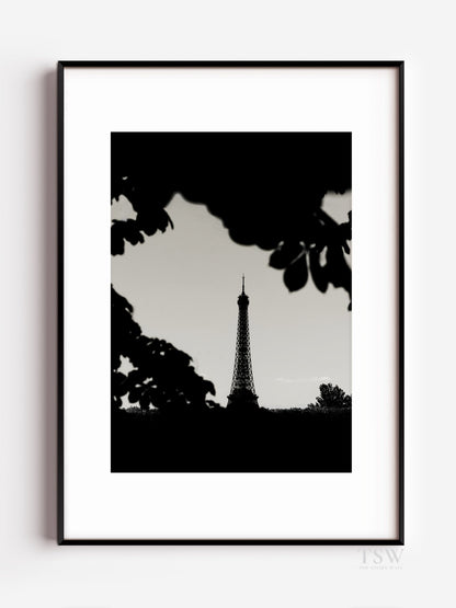 Eiffel Tower in Black & White, Paris - The Story Wall - 