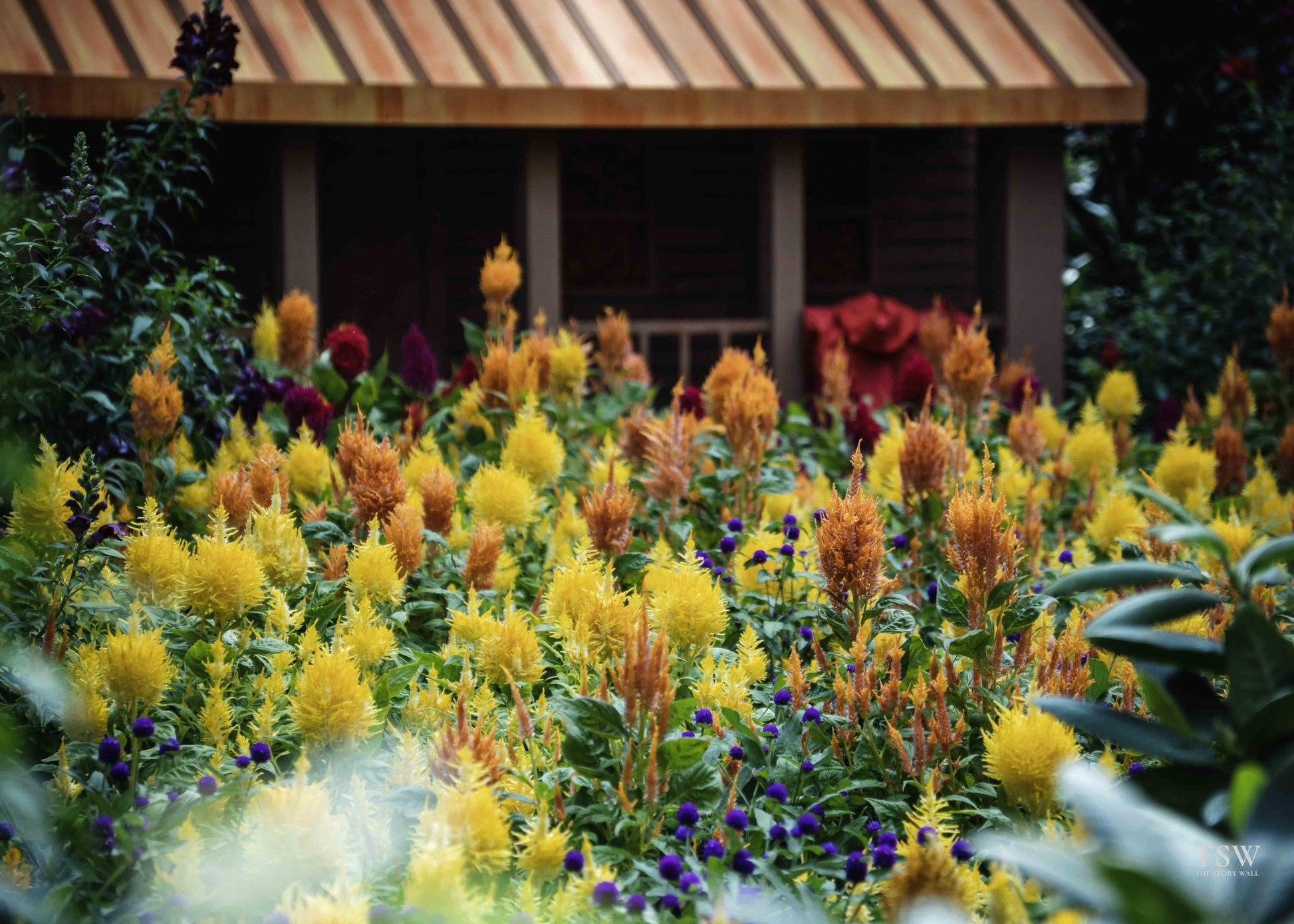 Gardens by the Bay Flowers, Singapore - The Story Wall - 
