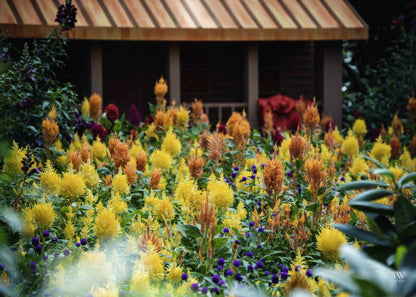Gardens by the Bay Flowers, Singapore - The Story Wall - 
