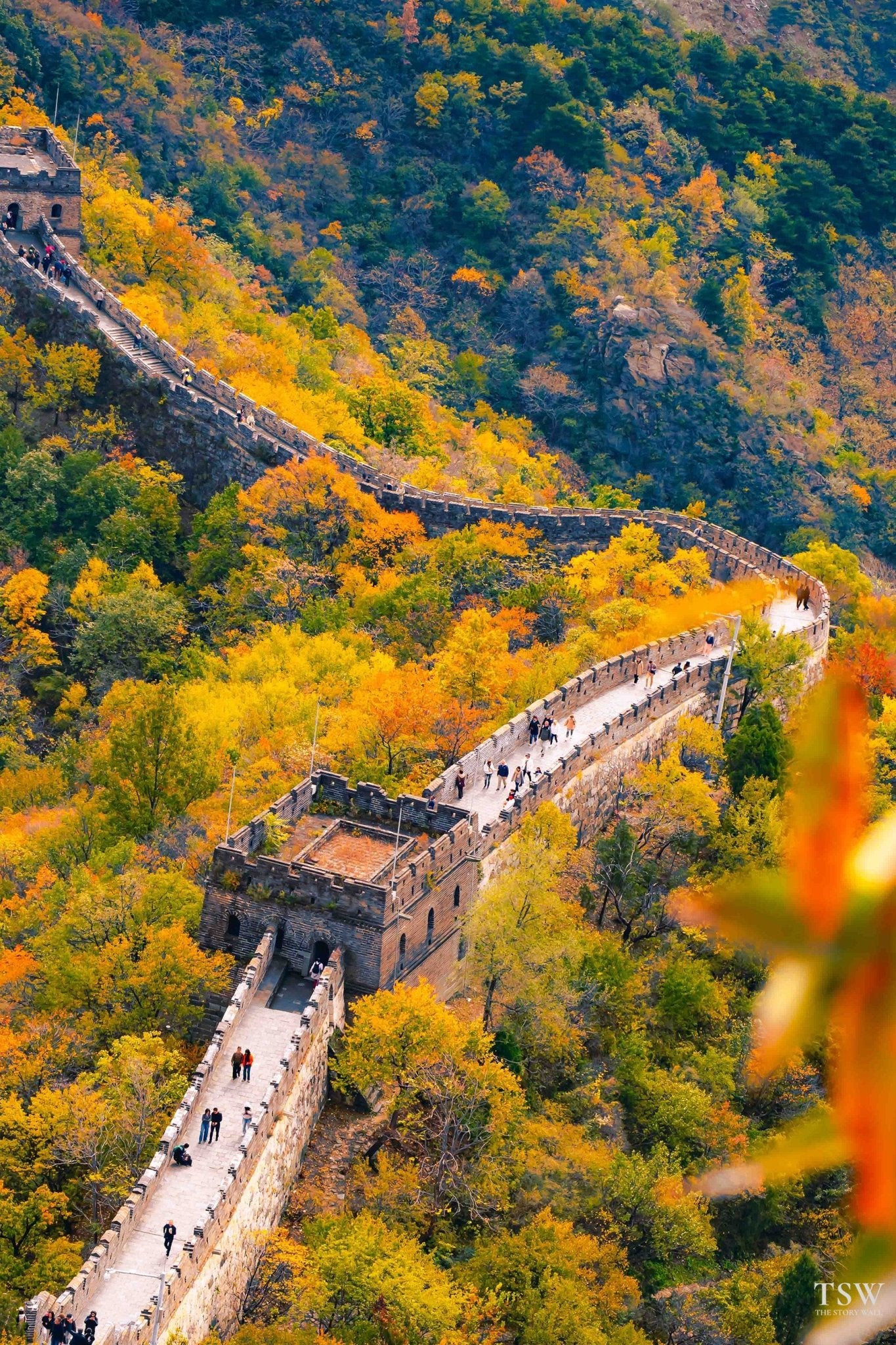 Great Wall of China in Autumn - The Story Wall - 