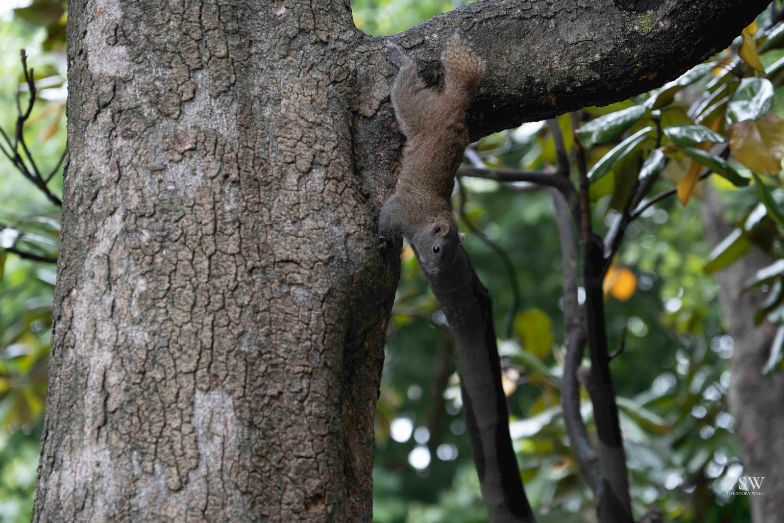 hangzhou-china — 5