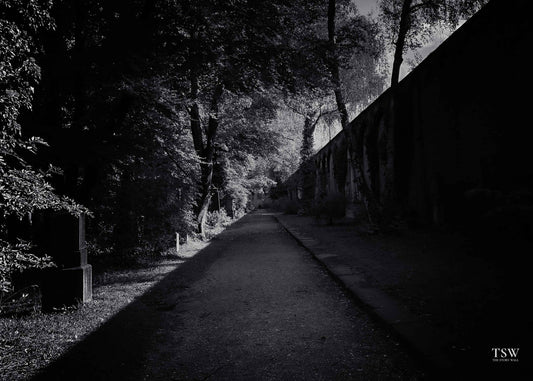 Munich Cemetery Symmetry - The Story Wall - 