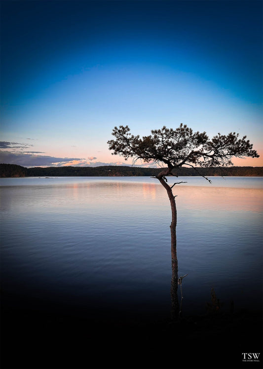 Sunset Lake, Ed – Sweden - The Story Wall - 