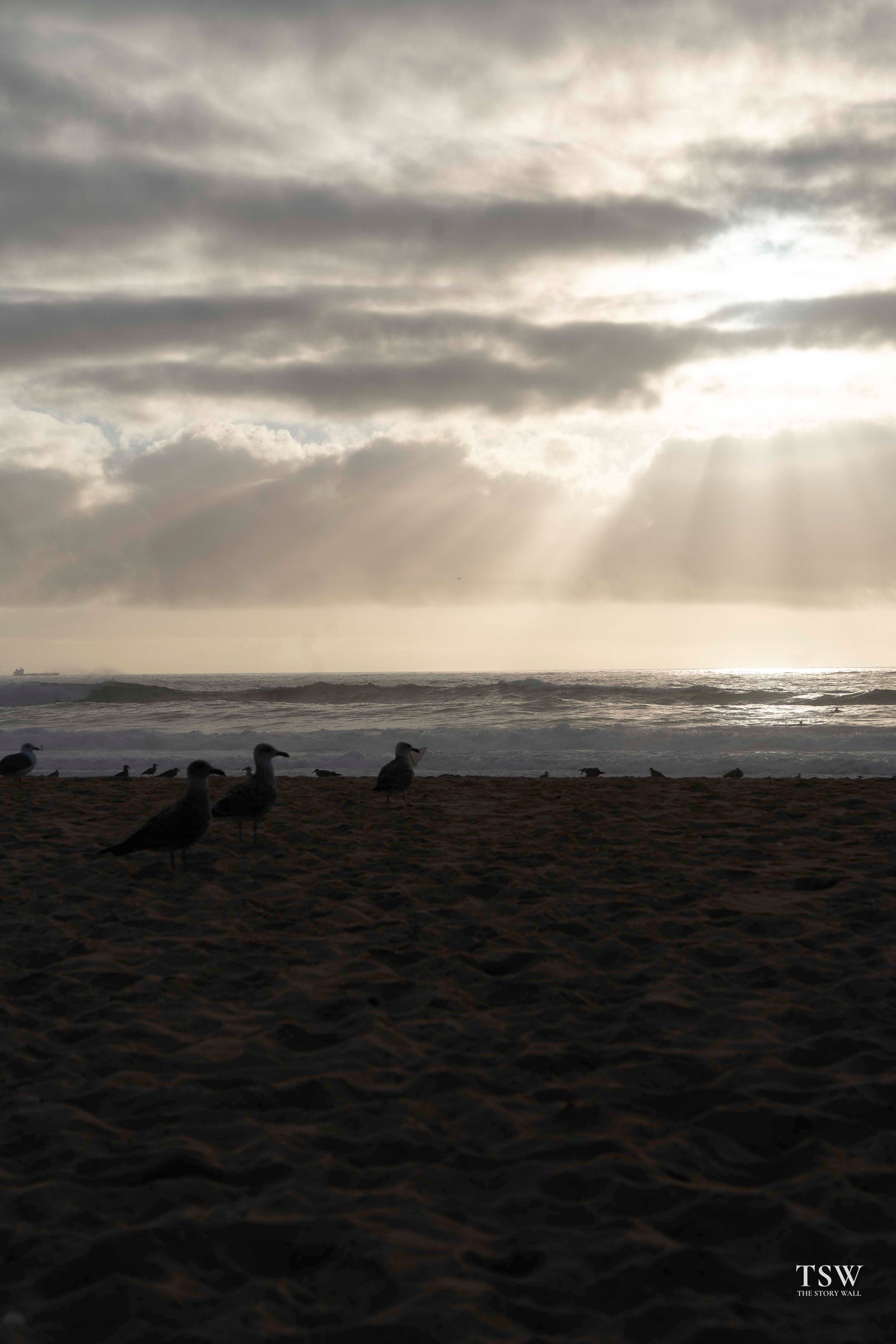 surf-matosinhos — 1