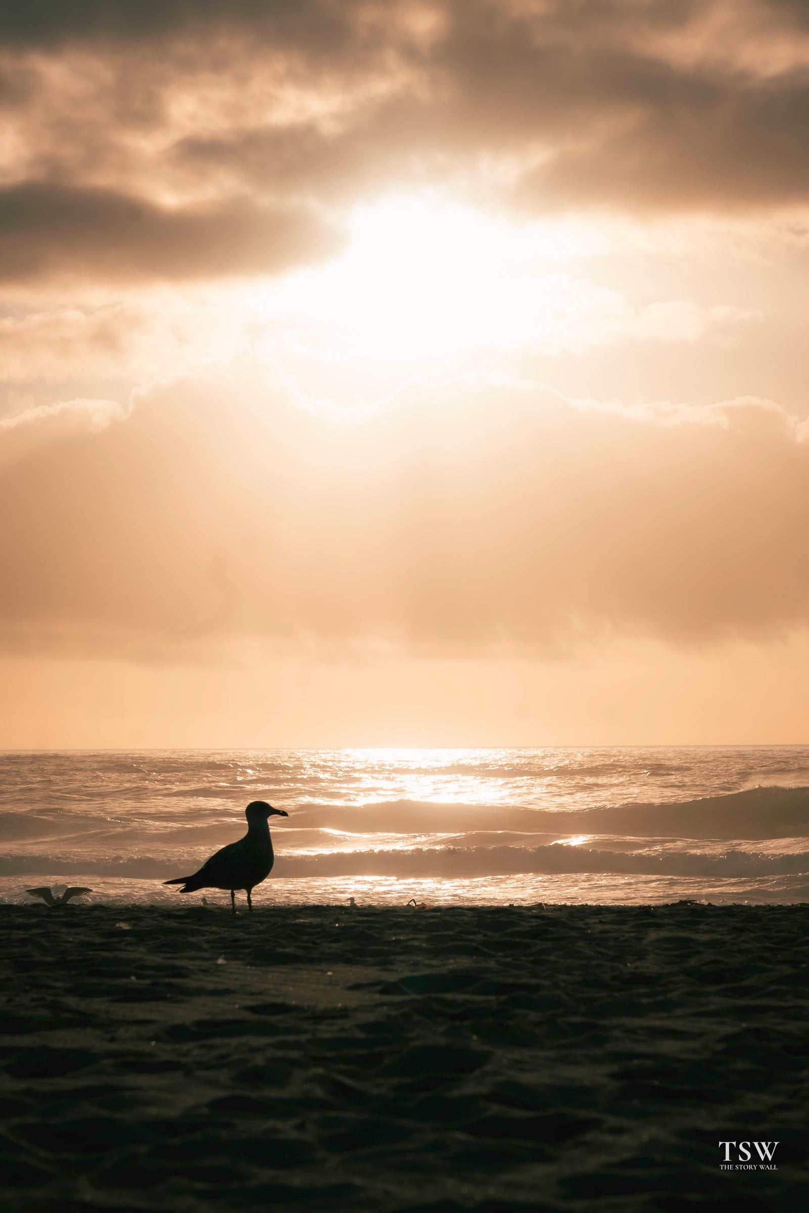 surf-matosinhos — 2