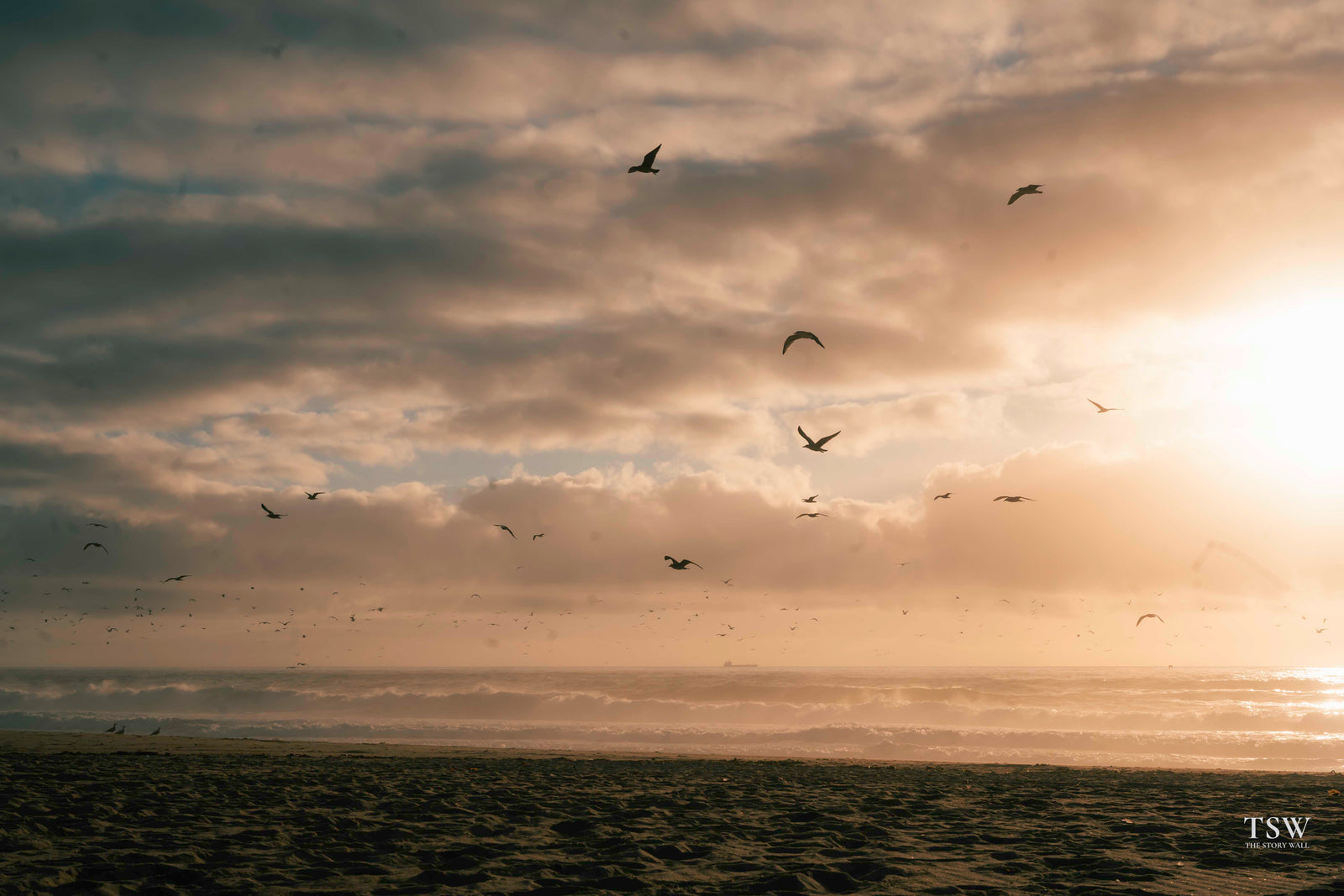 surf-matosinhos — 3