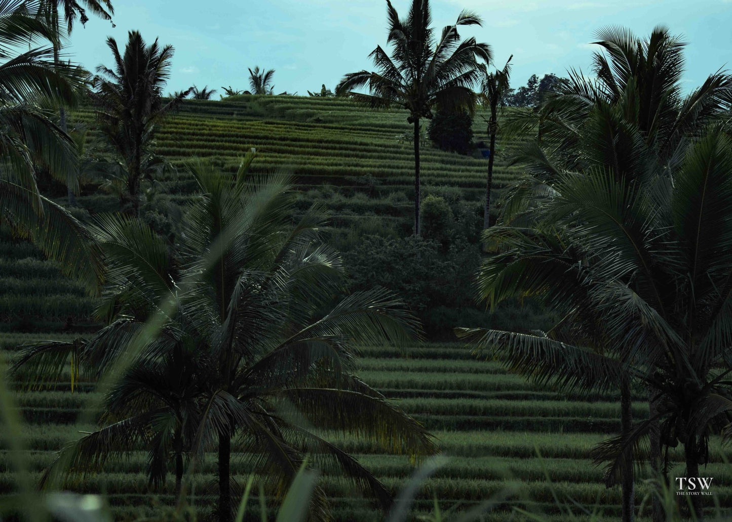 Ubud Rice Fields, Bali - The Story Wall - 