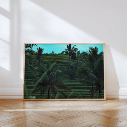 Ubud Rice Fields, Bali - The Story Wall - 