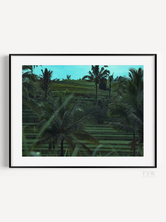 Ubud Rice Fields, Bali - The Story Wall - 